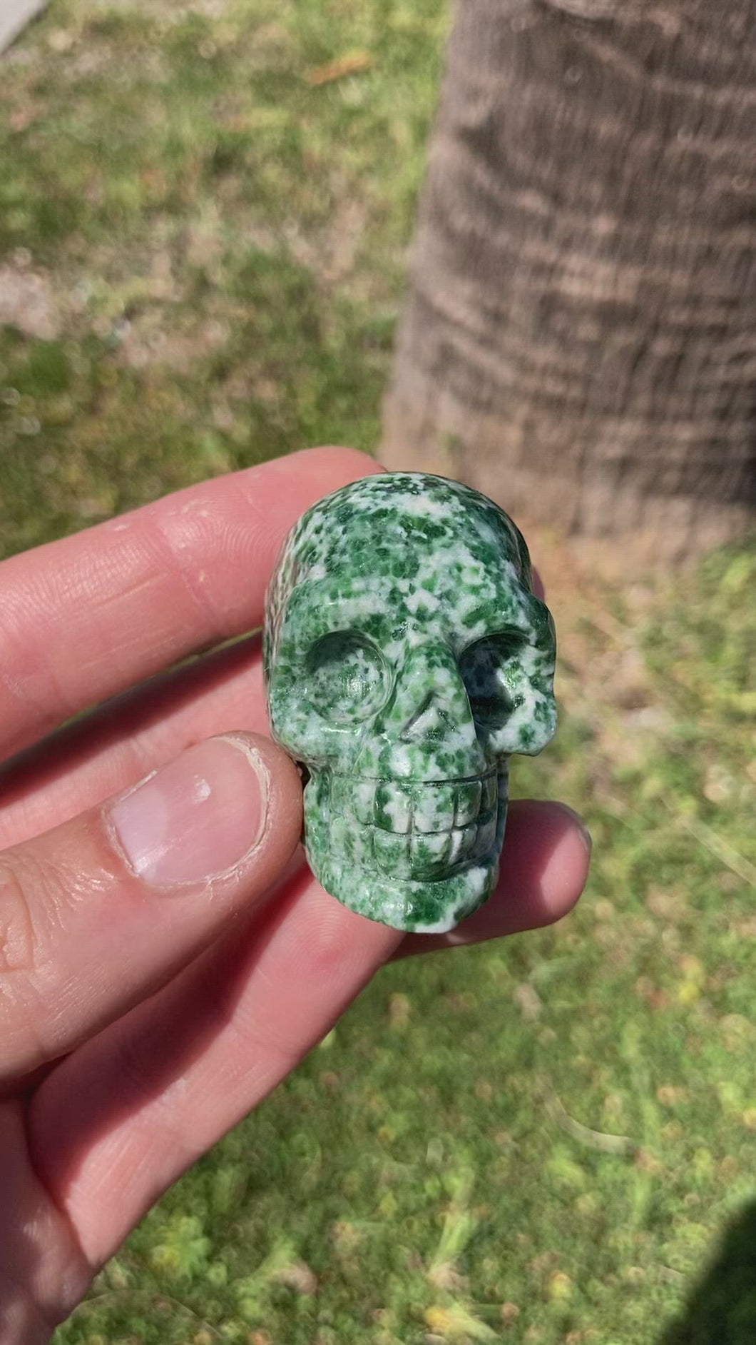 Tree Agate Hand Carved 2 inch Crystal Skull