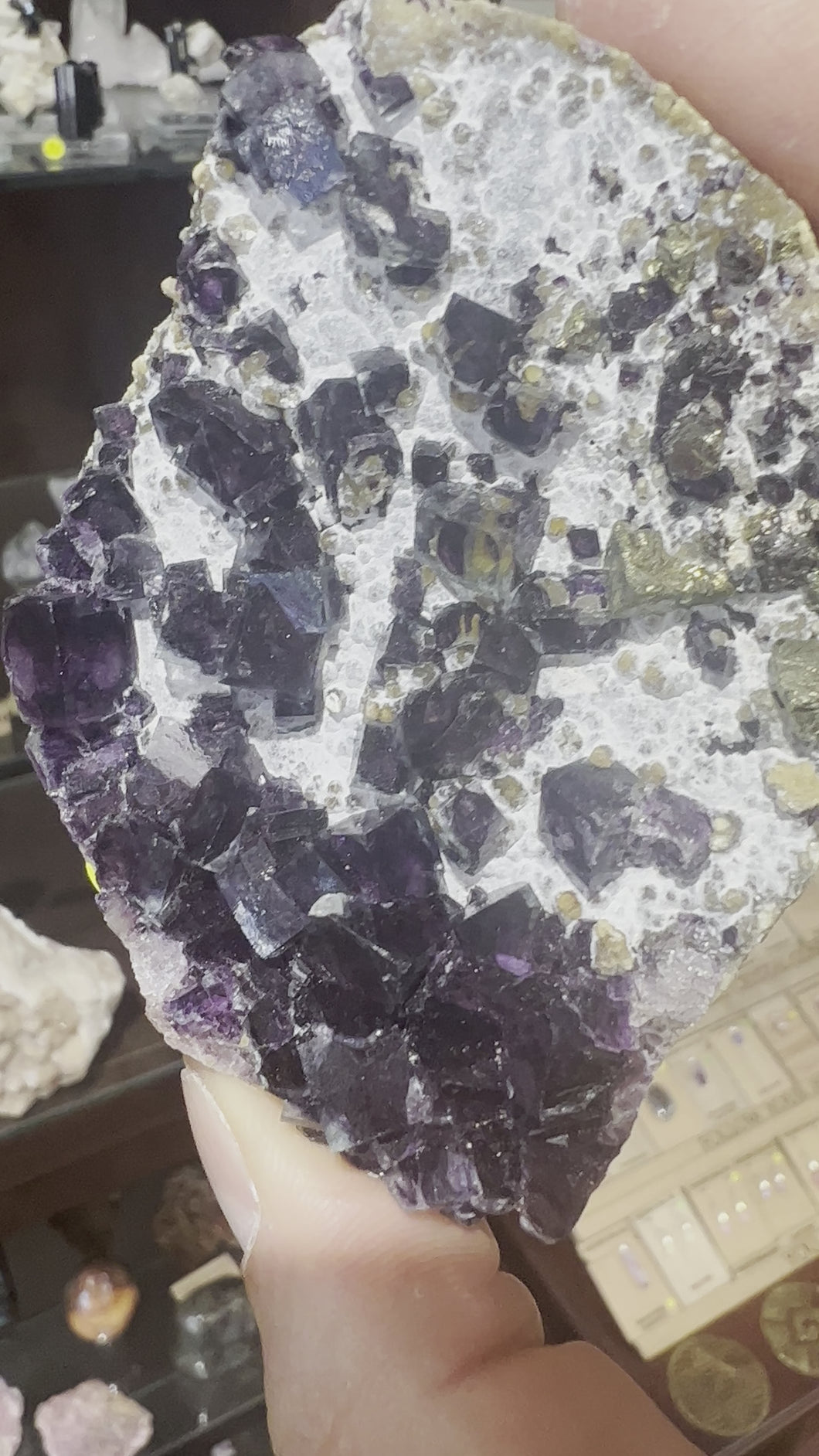 Purple Fluorite and Pyrite Yindu Mine